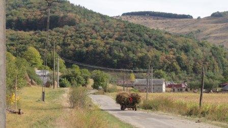 Mai multe drumuri și străzi din localitatea Unguraș vor fi asfaltate