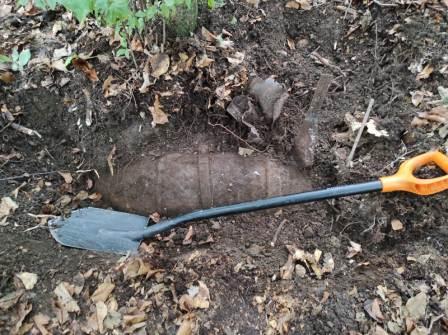 Bombă de aviație de 100 de kilograme găsită întâmplător de două persoane în Pădurea Făget, în apropiere de drumul Sfântul Ion